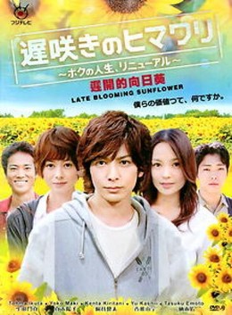 Osozaki no Himawari - Boku no Jinsei, Renewal