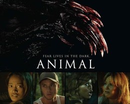 Animal