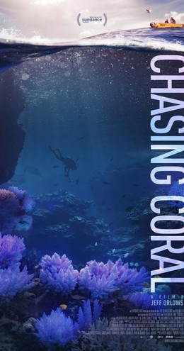 Chasing Coral