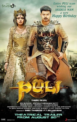 Puli