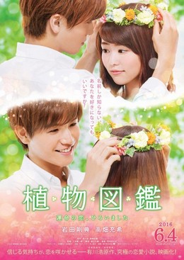 Evergreen Love