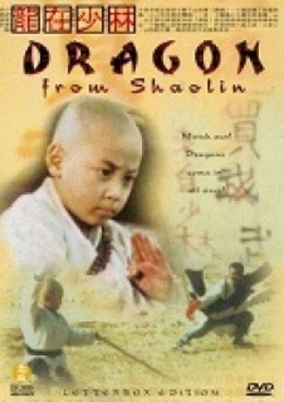 Dragon from Shaolin