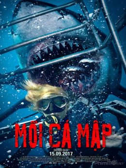 Shark Terror