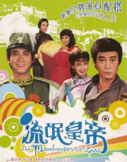 The Misadventure of Zoo