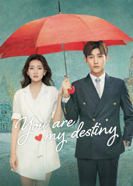 You Are My Destiny