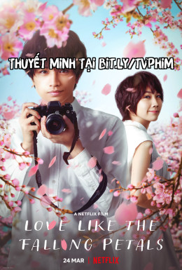 Love Like the Falling Petals