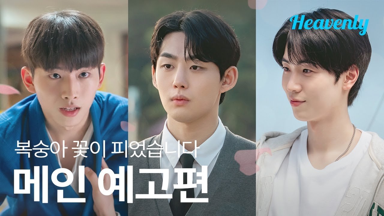 Hoa Đào Nở Hoa Đào Nở